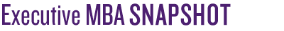 Executive MBA Snapshot