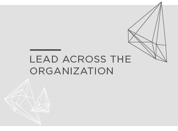 Lead across the organization