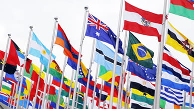 More than 100 international students will study at Kellogg this year through the MBA Exchange Program. Another 103 Kellogg students will travel abroad to study at partner institutions. 