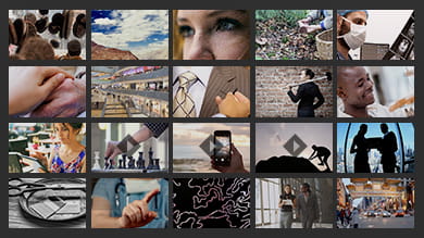 The Trust Project at Northwestern University