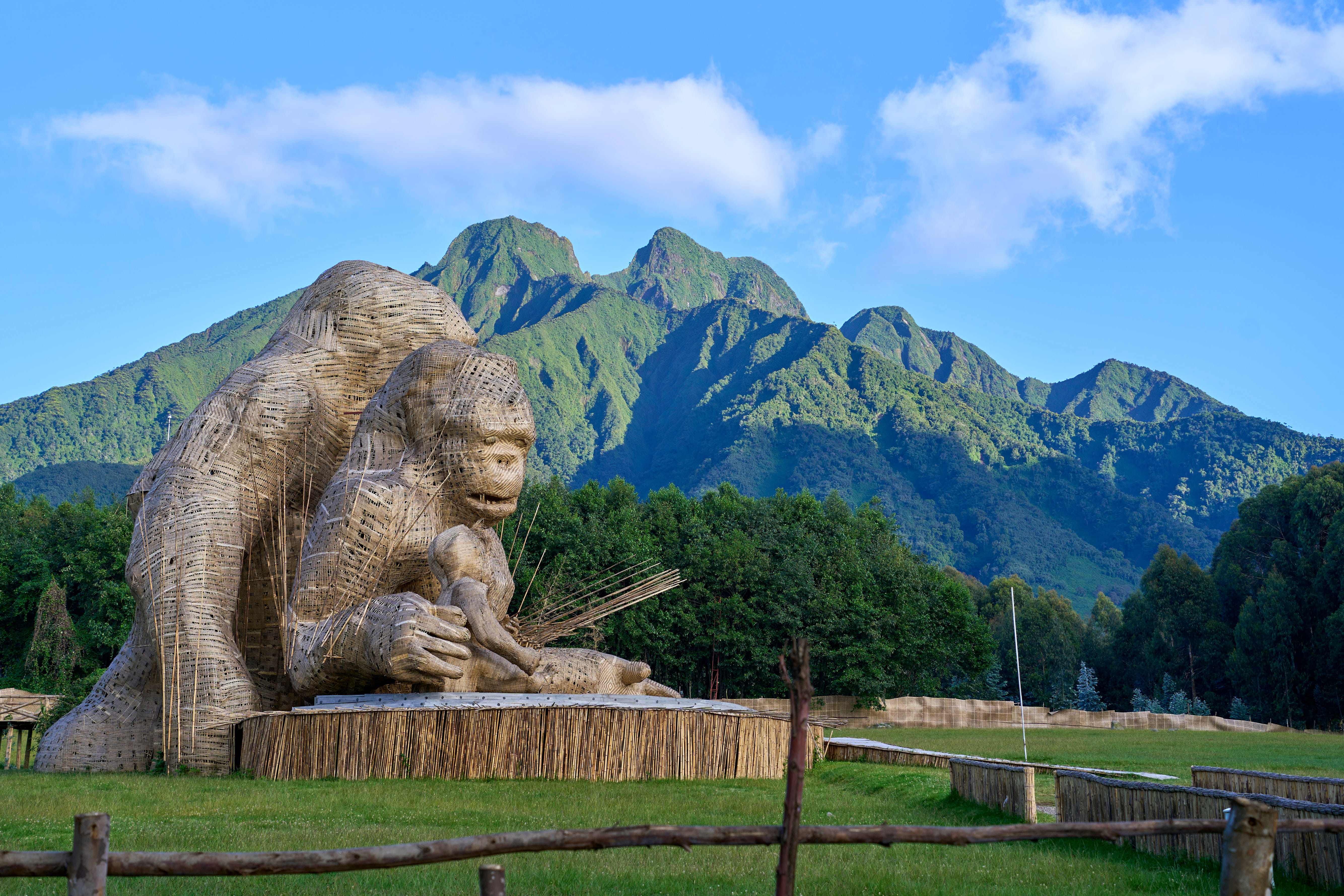 Volcanoes National Park in northwestern Rwanda, one of the Kellogg GIM trip destinations in 2024