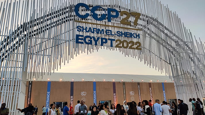 COP27 was held in Egypt, a country within the Middle East and North Africa (MENA) region