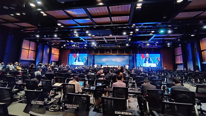 a panel discussion at COP27 introduces new sustainability concept "Loss and Damage"