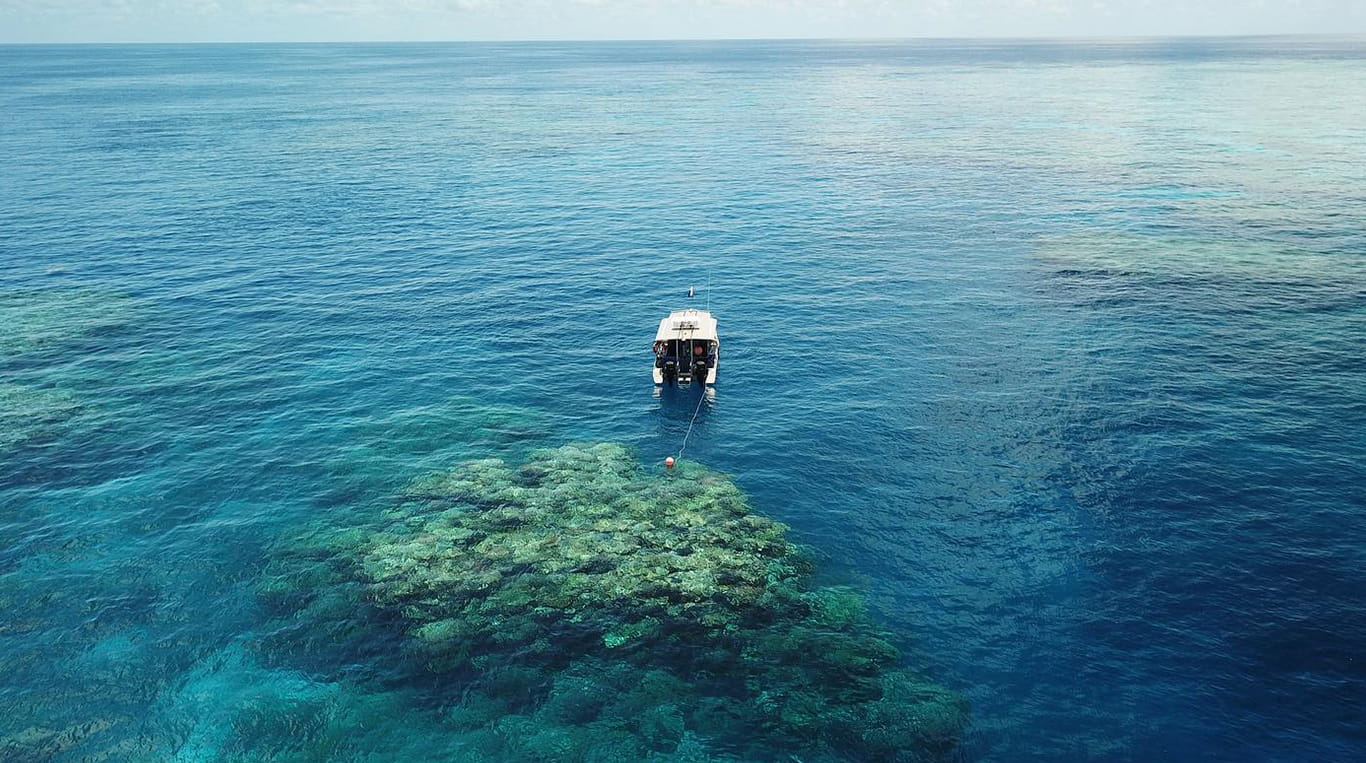 ‘Founder Focused’ Entrepreneurship Program at Kellogg