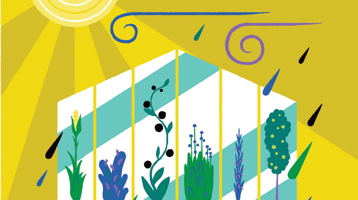 Kheyti is a low-cost greenhouse solution that helps farmers increase yields