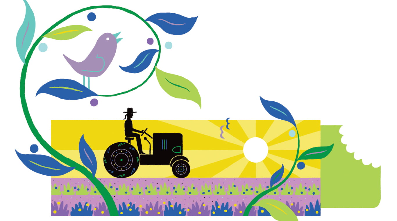 reHarvest is a snack brand that combats food waste by recycling surplus crops