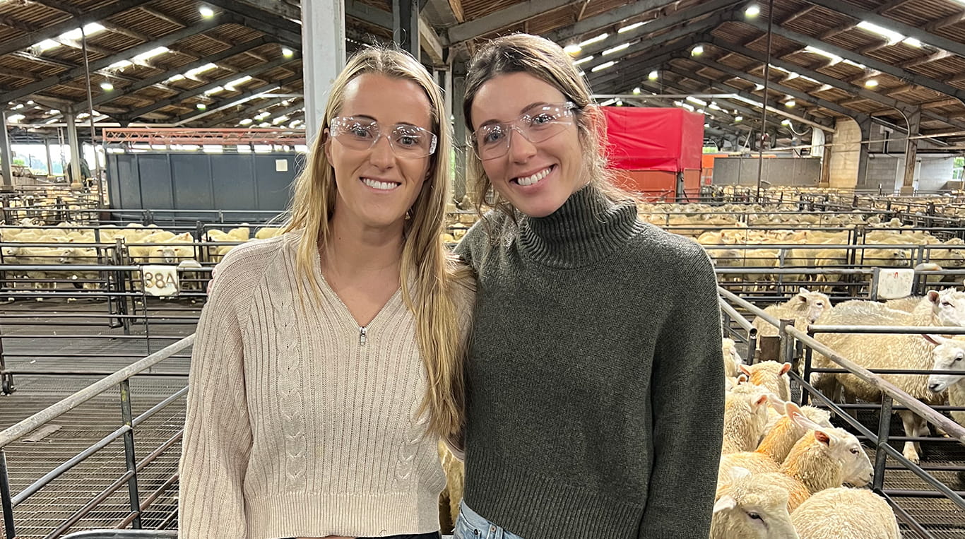 MBA students traveled to New Zealand to learn more about sustainable food production through the immersive Levy Inspiration Grant.
