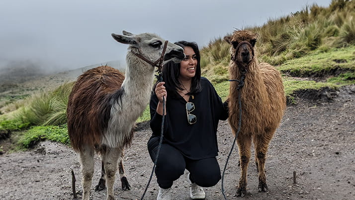 Student Nayna Anwar poses on a green hillside in South America, holding the reins of two alpacas