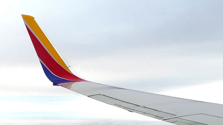 Evening & Weekend MBA student Elophia Mengestu ’25 flies 1,000+ miles for her MBA.