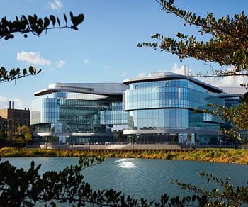 The Kellogg School of Management’s Global Hub building stands prominently along the water, its modern glass facade reflecting the clear blue sky. The striking architecture is framed by leafy tree branches, highlighting the serene and picturesque campus setting.