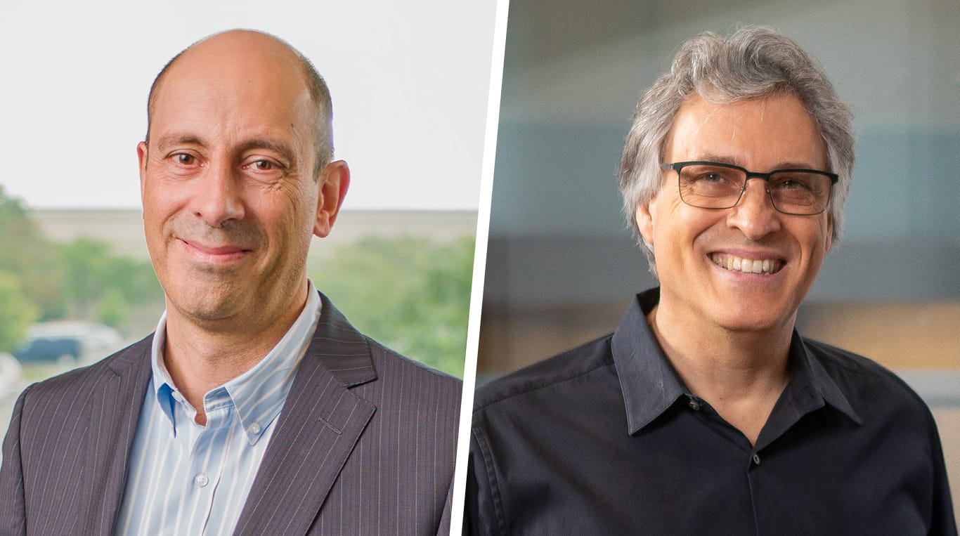 Professors Sergio Rebelo and Brian Uzzi