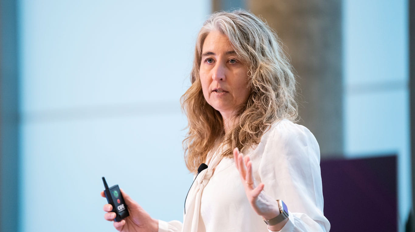Kellogg professor Meghan Busse guestures to her audience while giving a presentation.