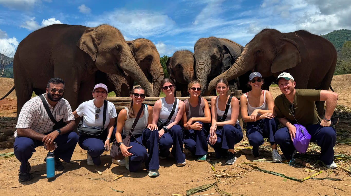 A group of women and men squatting in front of elephants
