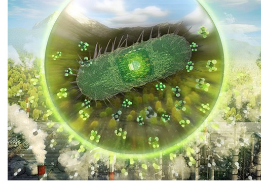 Bacteria Upcycle Carbon Waste into Valuable Chemicals