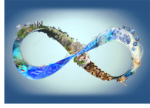 Professor Hyejin Youn Receives NSF Big Ideas Grant