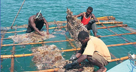 Fishermen in Tanzania